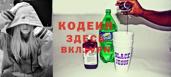 хмурый Белокуриха