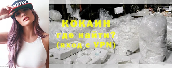 хмурый Белокуриха