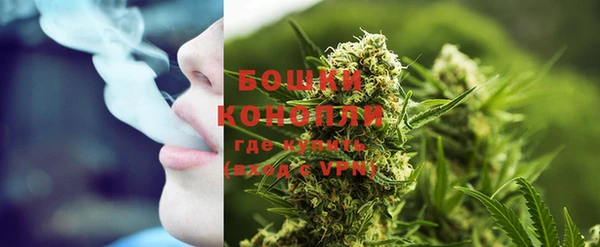 хмурый Белокуриха