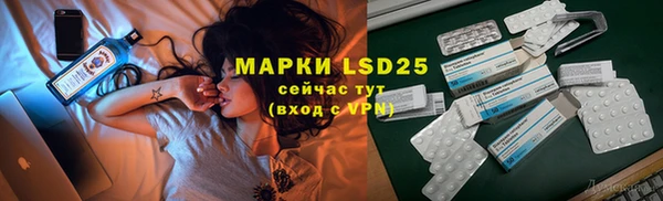 хмурый Белокуриха