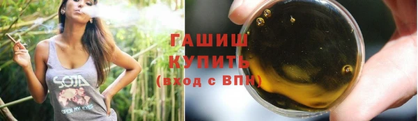 хмурый Белокуриха