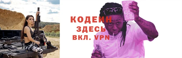 хмурый Белокуриха