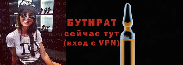 хмурый Белокуриха