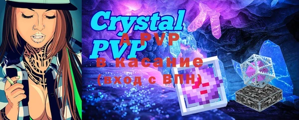 хмурый Белокуриха