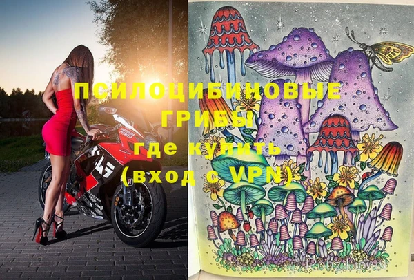 хмурый Белокуриха